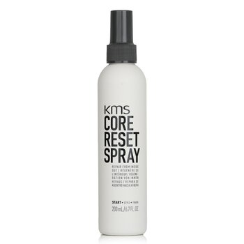 核心重置噴霧（從內到外修復） (Core Reset Spray (Repair From Inside Out))