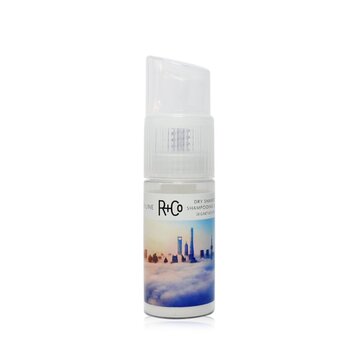 R+Co Skyline 乾洗洗髮粉 (Skyline Dry Shampoo Powder)