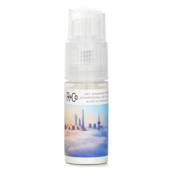 Skyline 乾洗洗髮粉 (Skyline Dry Shampoo Powder)