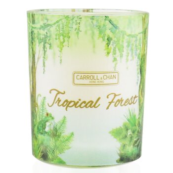 The Candle Company (Carroll & Chan) 100% 蜂蠟許願蠟燭 - 熱帶森林 (100% Beeswax Votive Candle - Tropical Forest)