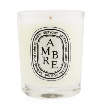Diptyque 芳香蠟燭 - 琥珀 (Scented Candle - Ambre (Amber))