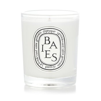 Diptyque 芳香蠟燭 - 漿果 (Scented Candle - Baies (Berries))