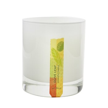 Thymes 芳香蠟燭 - 橄欖葉 (Aromatic Candle - Olive Leaf)