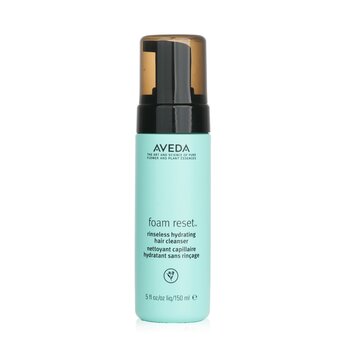 泡沫重置免沖洗保濕洗髮水 (Foam Reset Rinseless Hydrating Hair Cleanser)