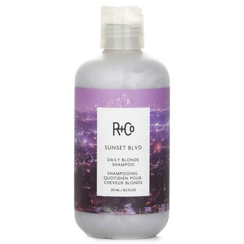 R+Co Sunset Blvd 每日金發洗髮水 (Sunset Blvd Daily Blonde Shampoo)