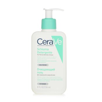 CeraVe 適合中性至油性皮膚的泡沫潔面乳 (Foaming Cleanser For Normal to Oily Skin)